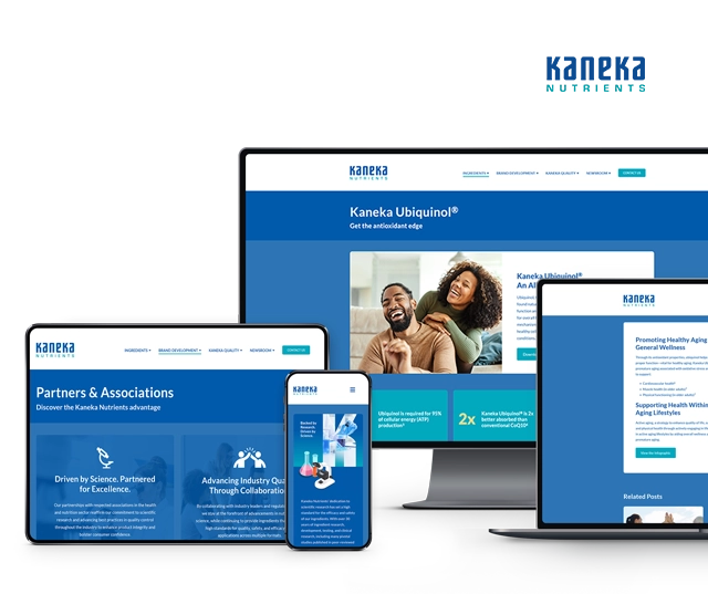 custom website development B2B case study scottsdale arizona