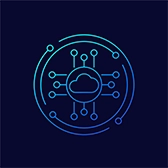 custom software development services
